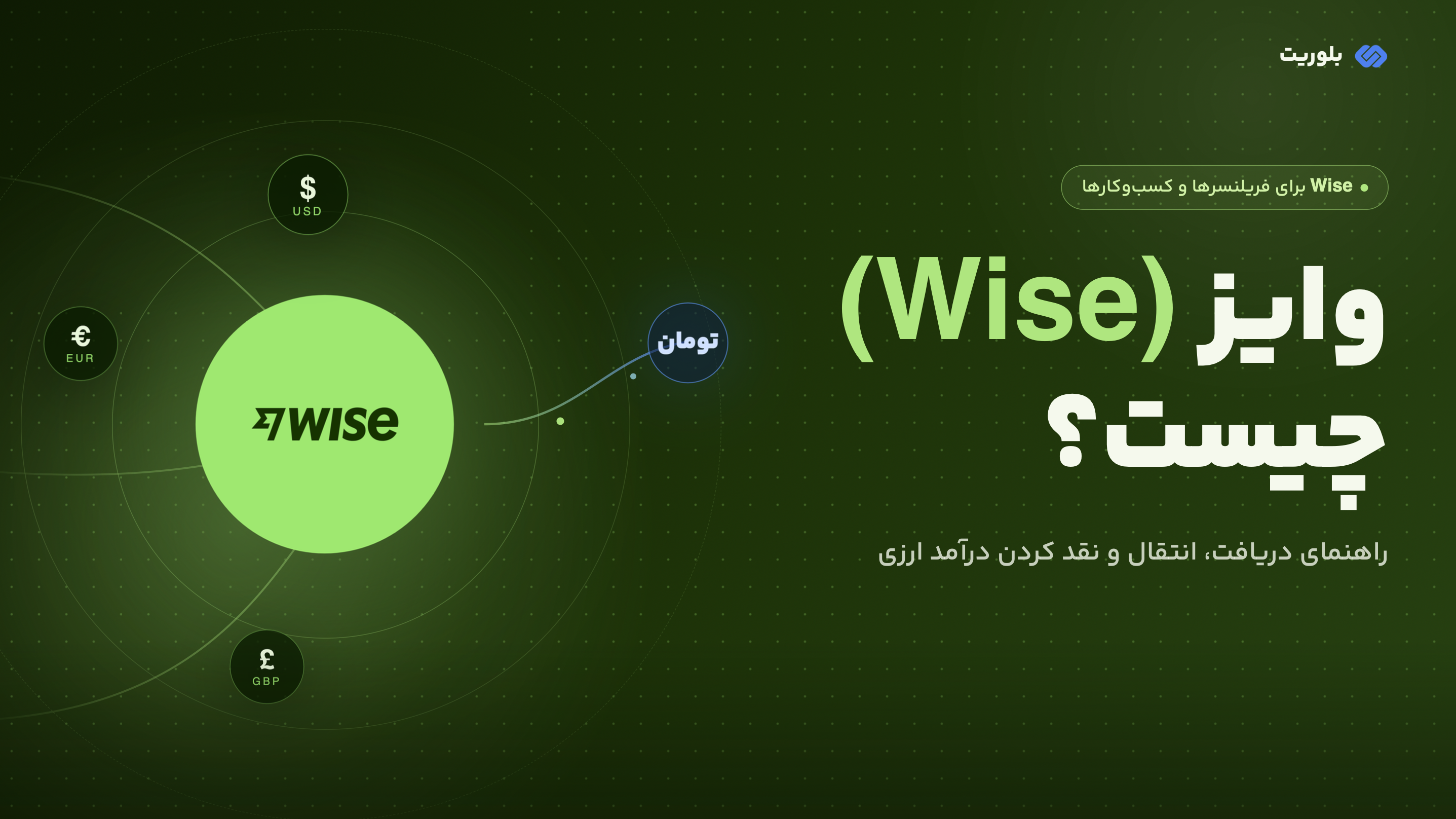 wise-money-transfer-income